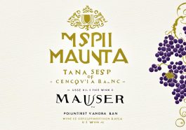 Weingut Maria & Sepp Muster Sauvignon Blanc vom Opok 2021